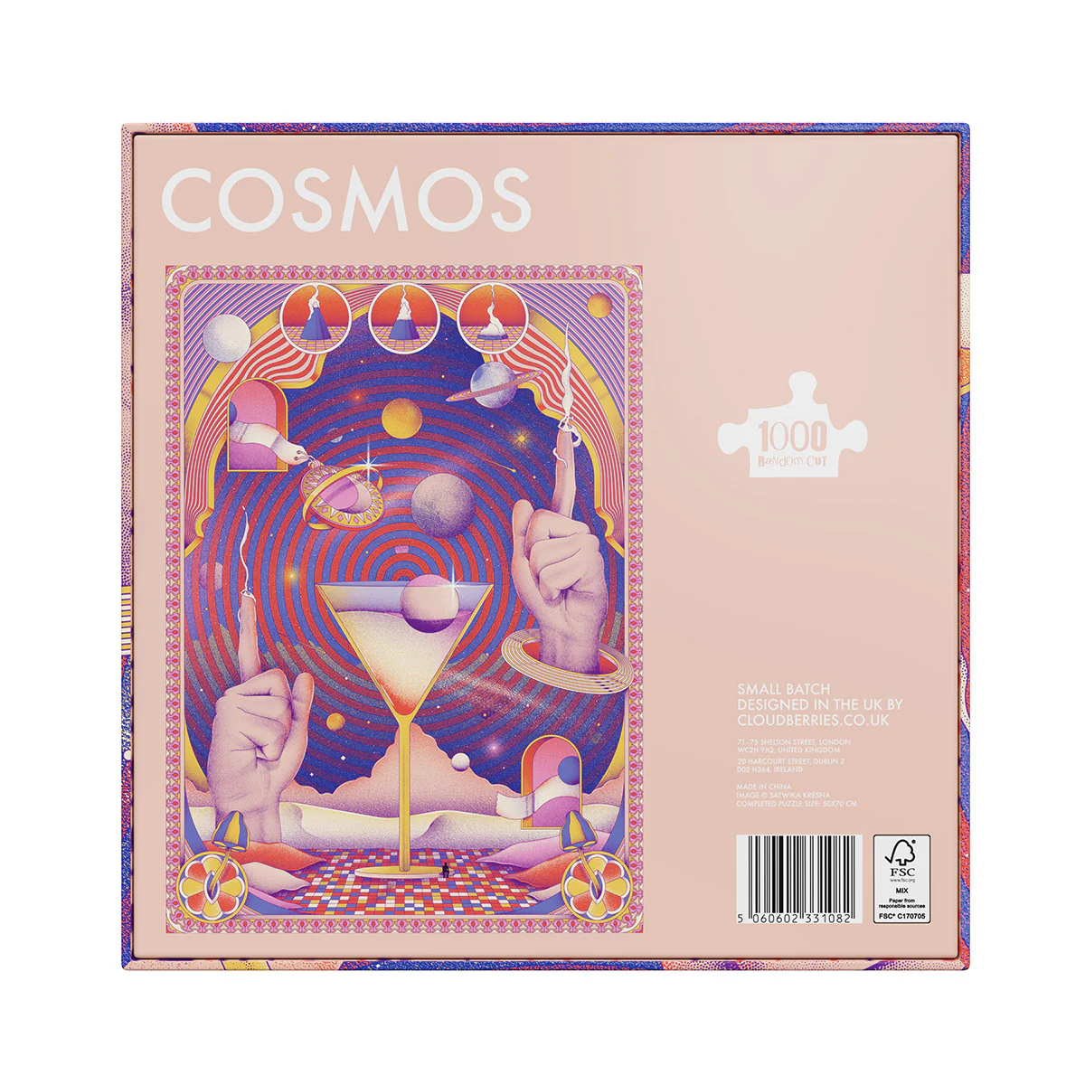 Cosmos 1000 Piece Puzzle (Small Batch) - Image 4