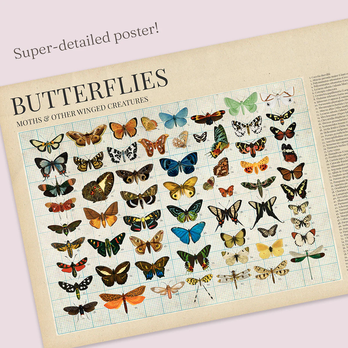 Entomology Jigsaw Puzzle (1000 pieces) - Image 6