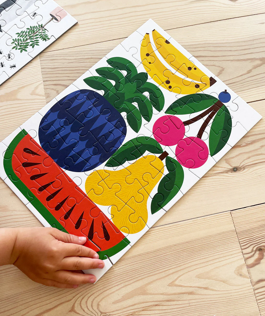 Fruit Jigsaw Puzzle for Kids (50 Pieces) - Image 4