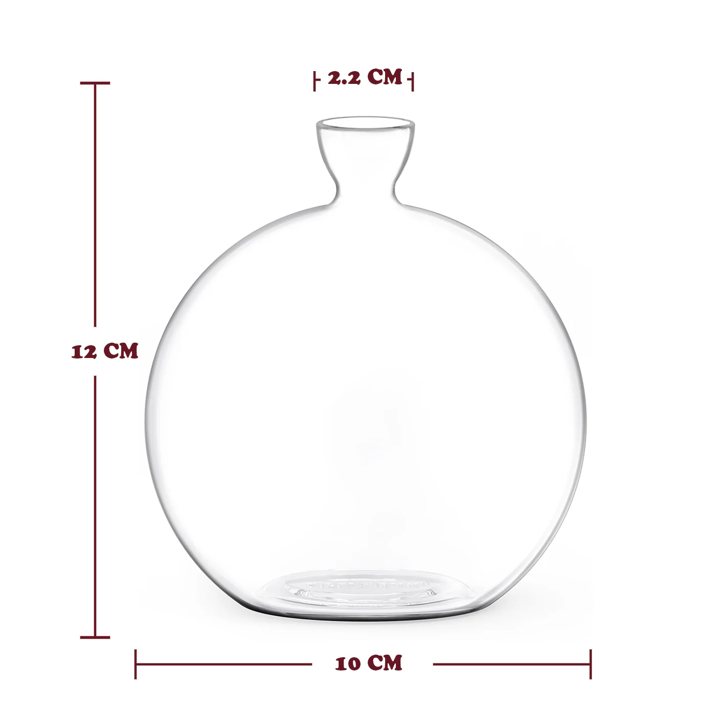 Vasecado® Acorn Seed Vase - Image 4