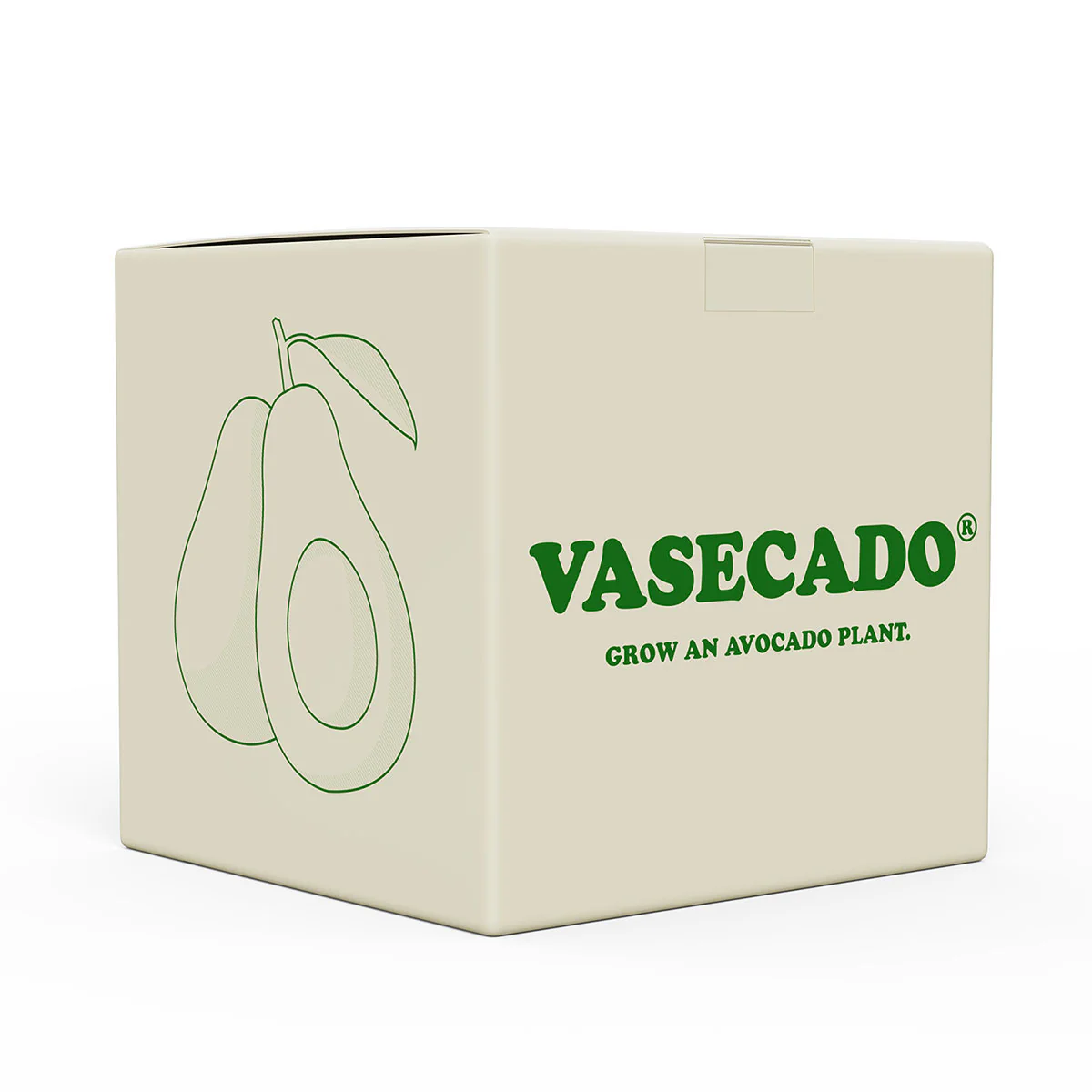 Vasecado® Avocado Seed Vase - Image 3