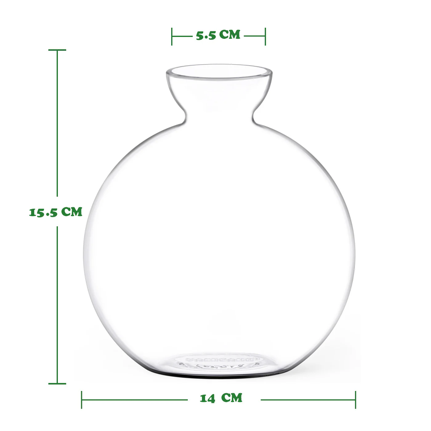 Vasecado® Avocado Seed Vase - Image 6